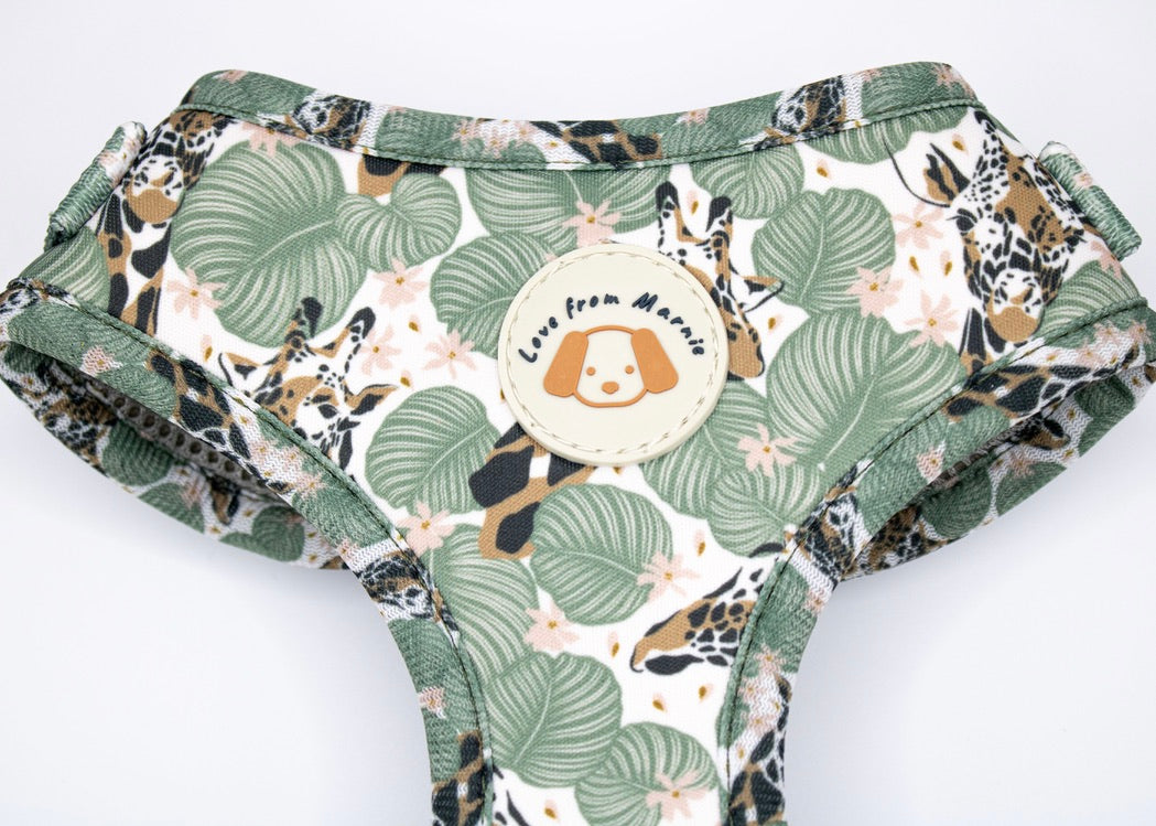 Wild Giraffe Harness