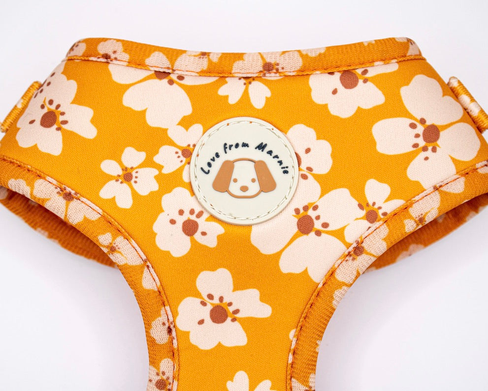 Orange Blossom Harness