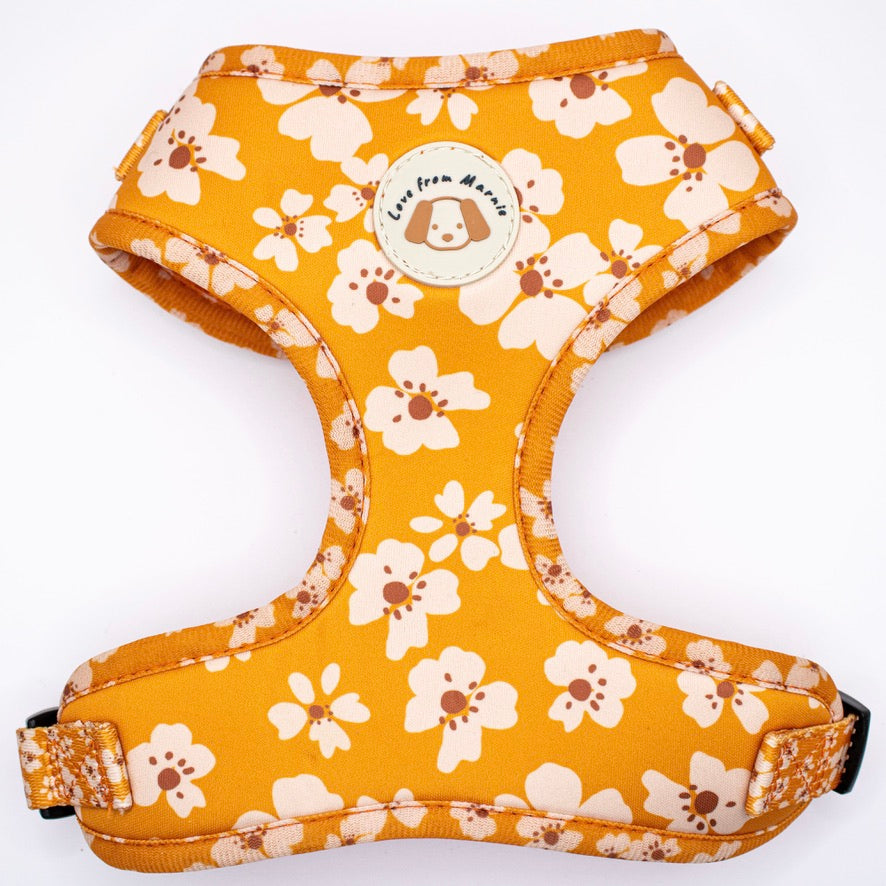 Orange Blossom Harness