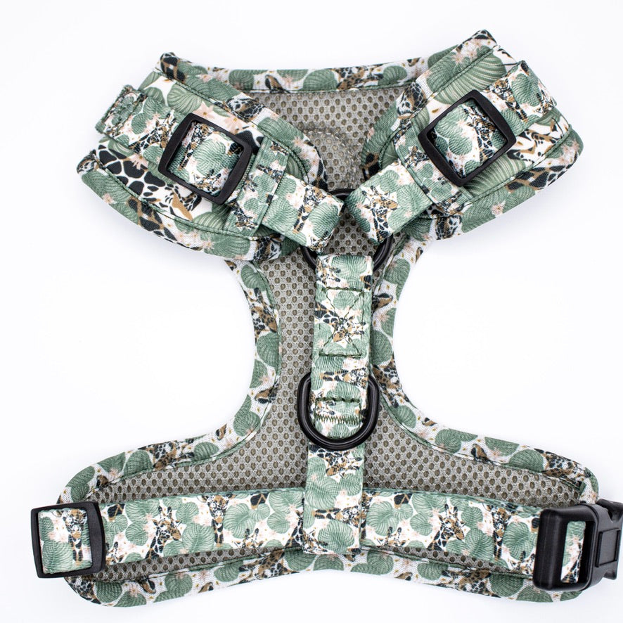 Wild Giraffe Harness