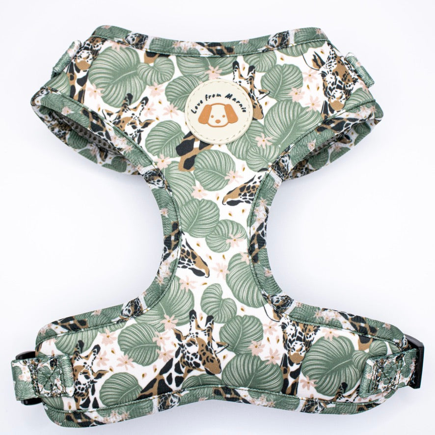 Wild Giraffe Harness