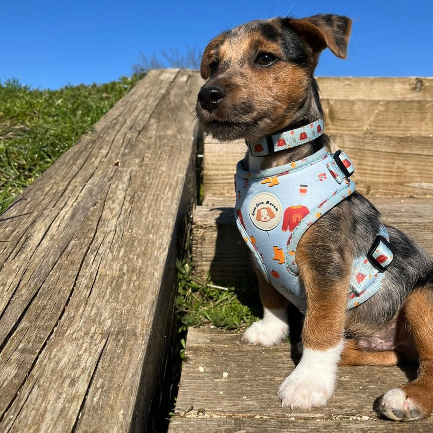 Adjustable Harness Set in Sweater Weather