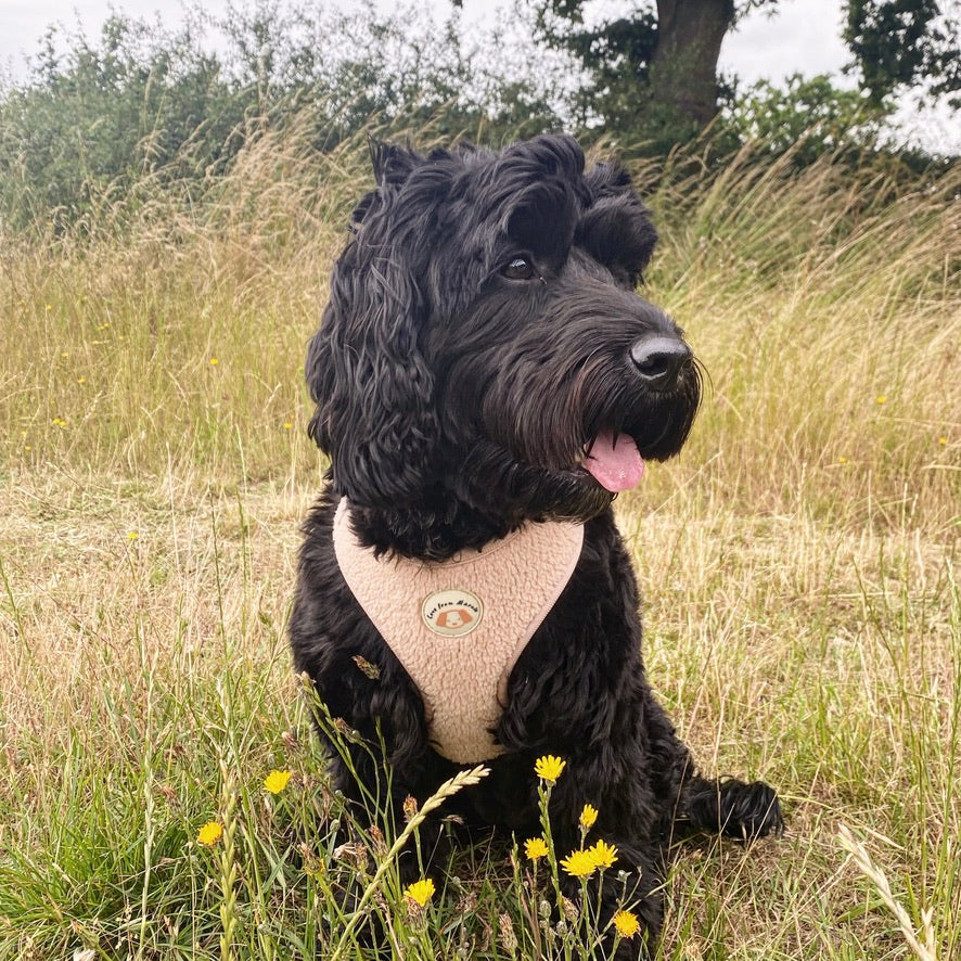 Adjustable Fleece Harness in Latte