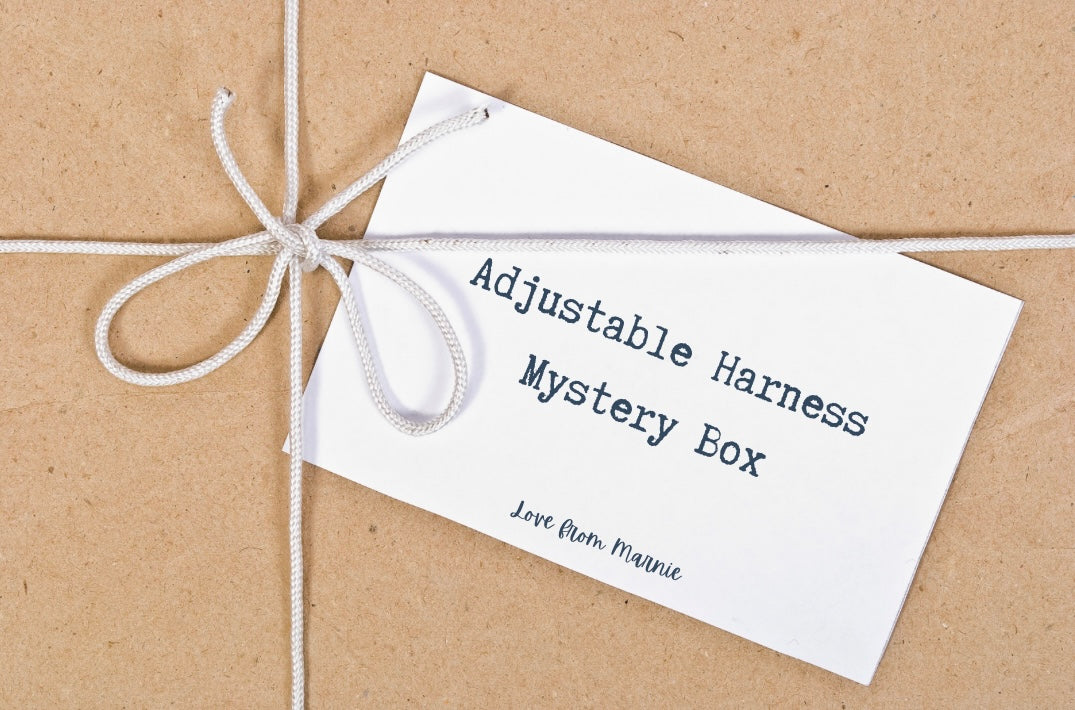 Adjustable Harness Set Mystery Box