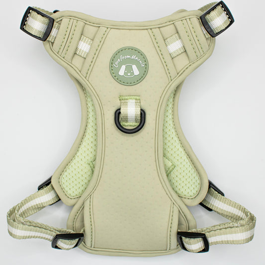 Dynamic Harness - Pistachio Green