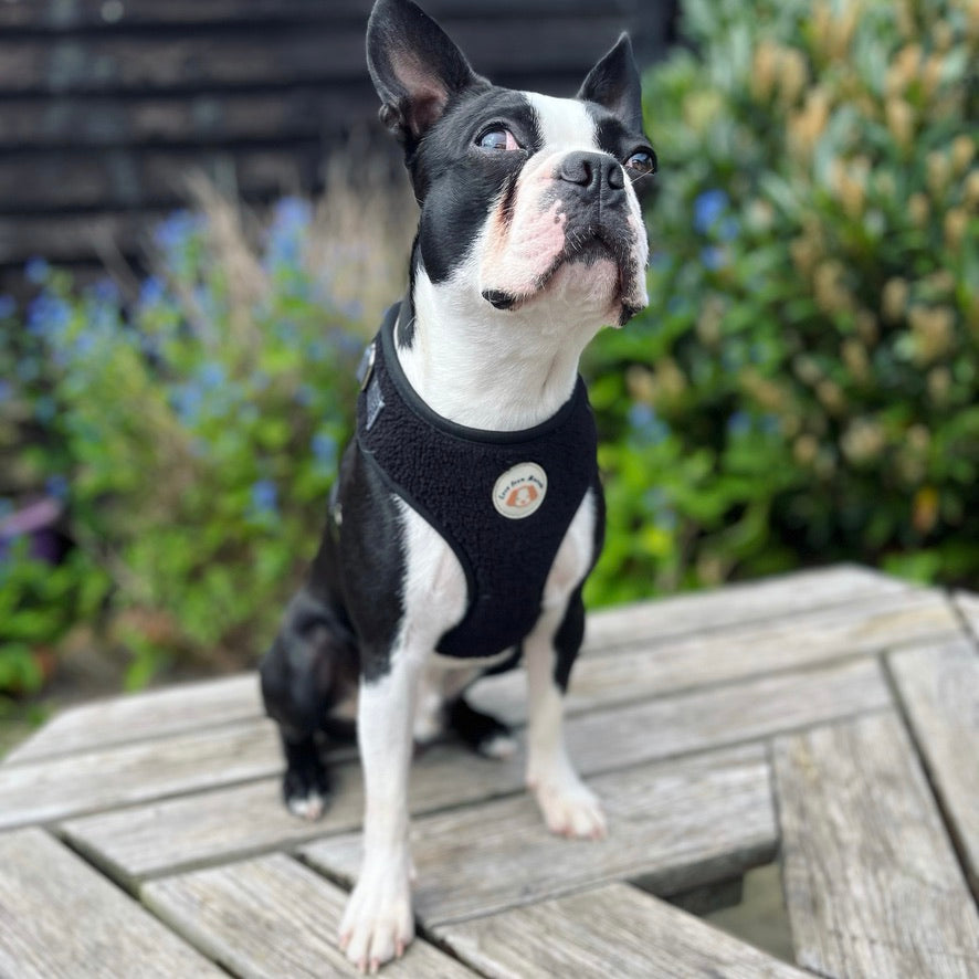 Adjustable Fleece Harness in Jet Black