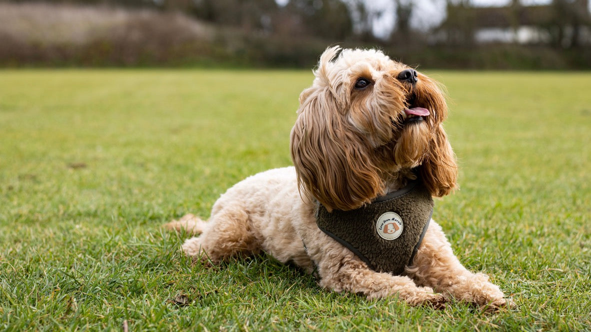 Adjustable Fleece Harness in Olive