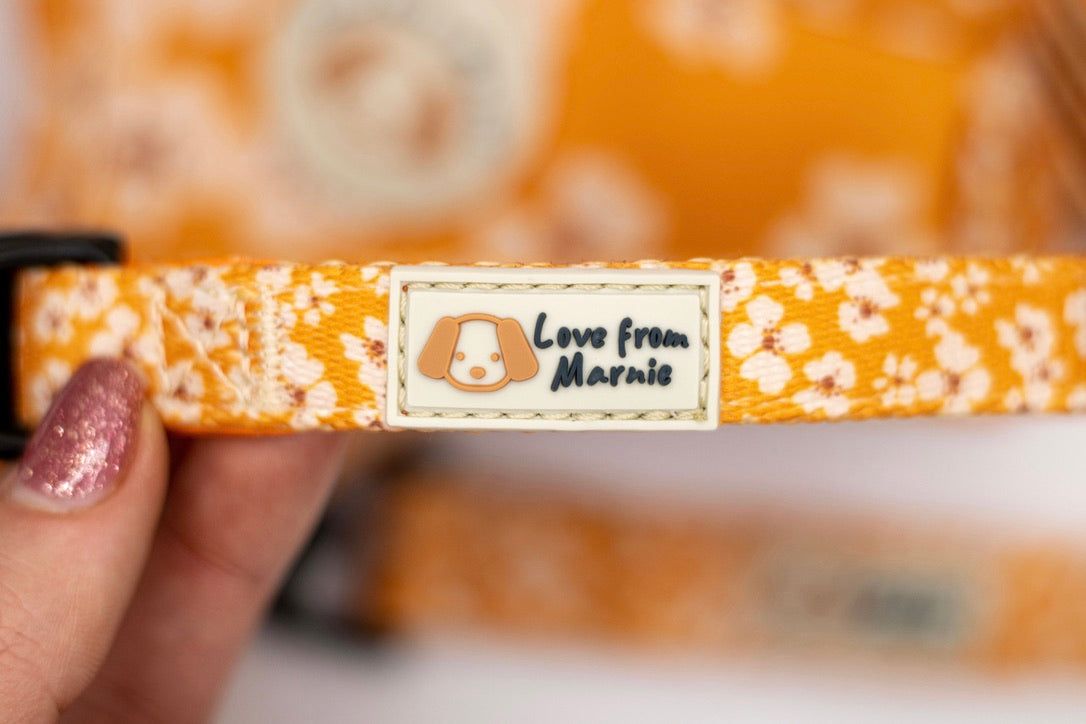 Orange Blossom Collar
