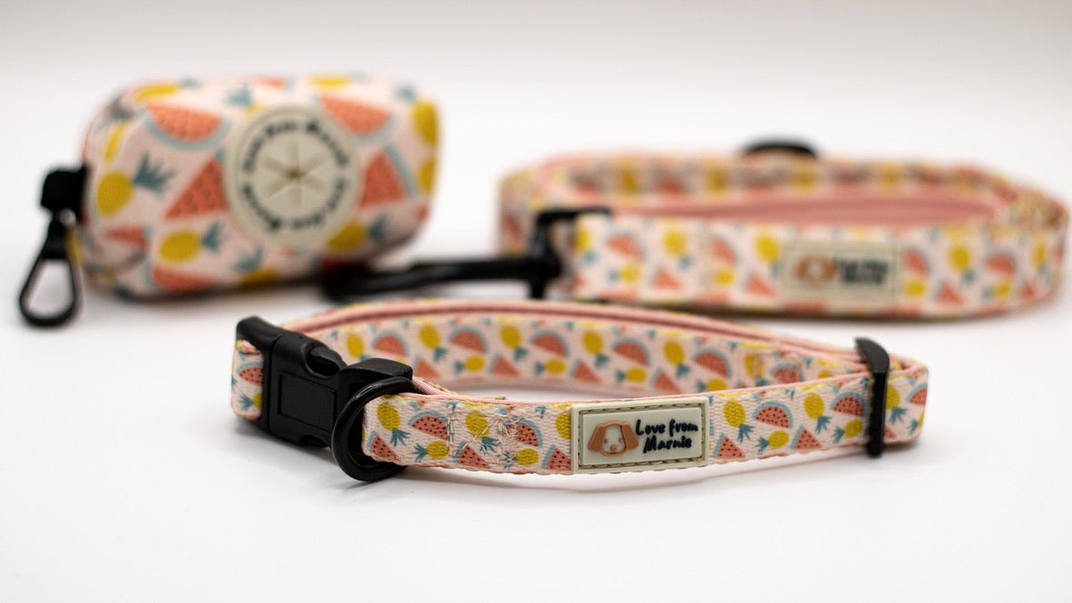 Adjustable Harness Set in Fruitalicious