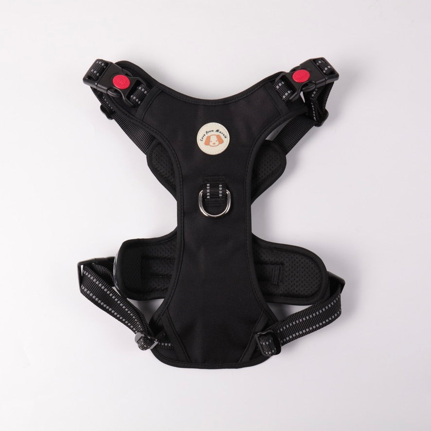 Black LED Harness