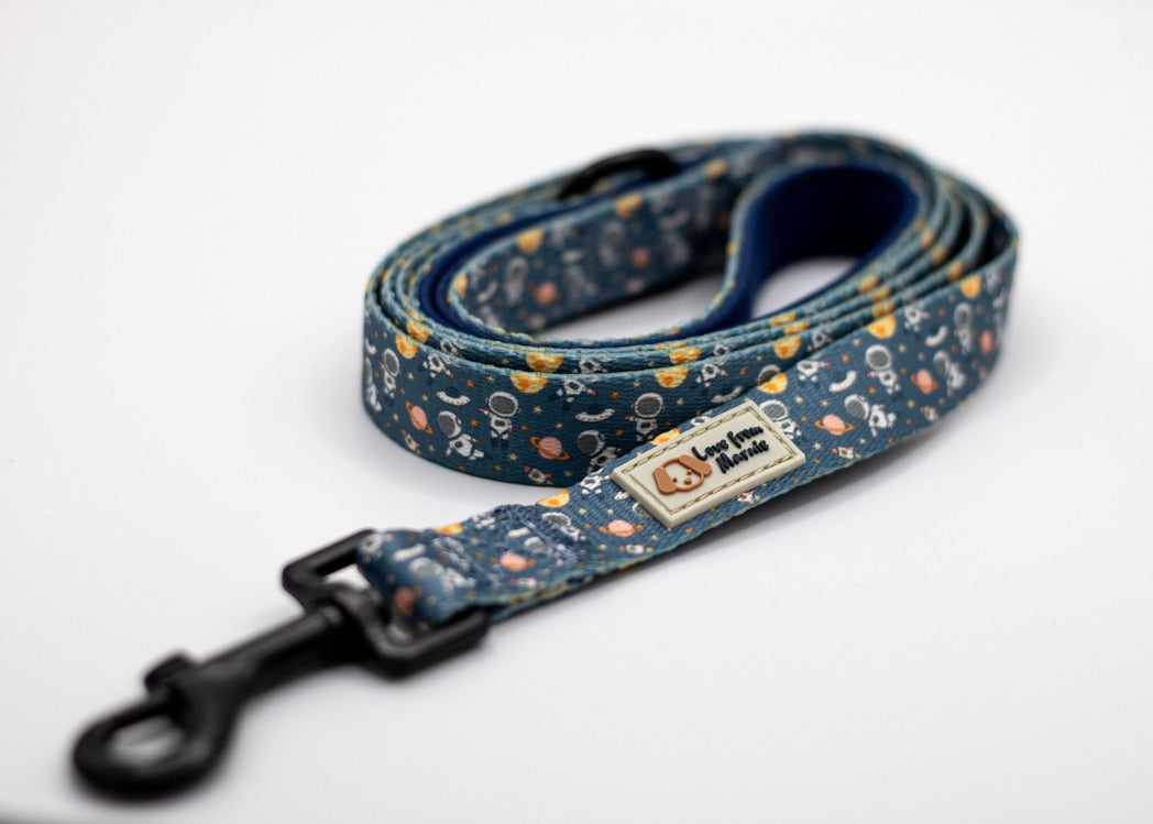 Adjustable Harness Set in Outer Space