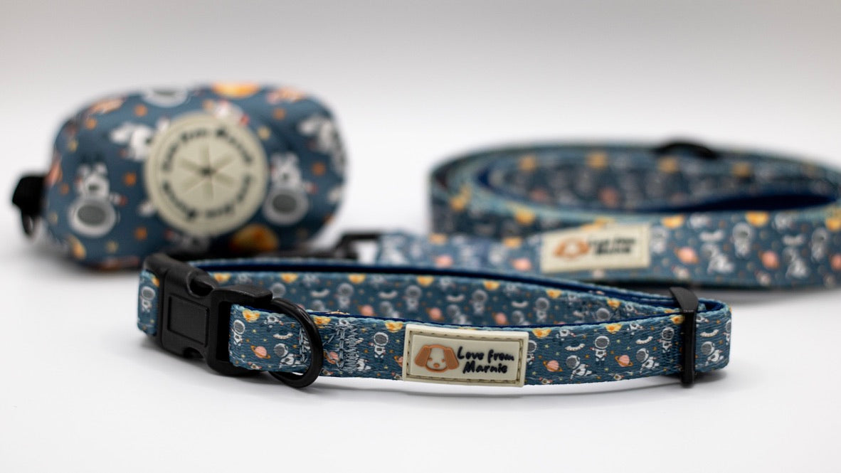Adjustable Harness Set in Outer Space