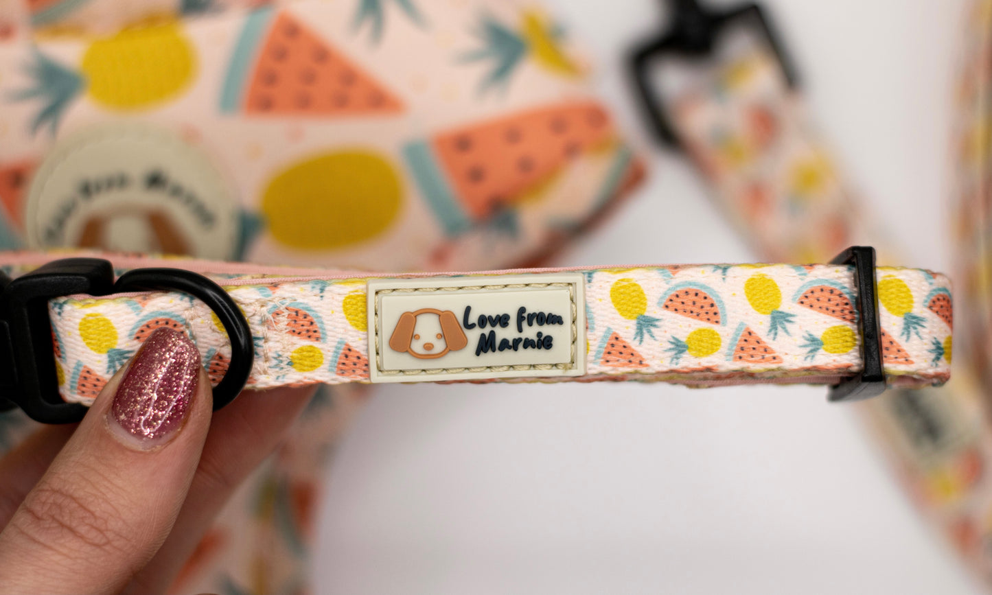 Fruitalicious Collar