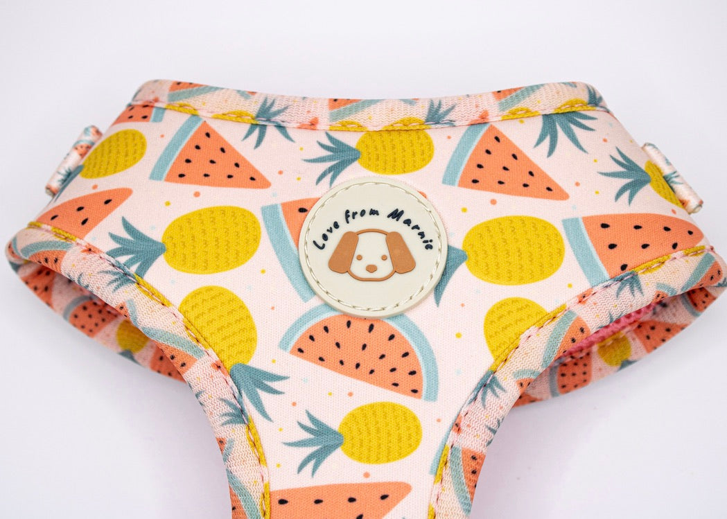 Fruitalicious Harness