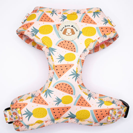Fruitalicious Harness