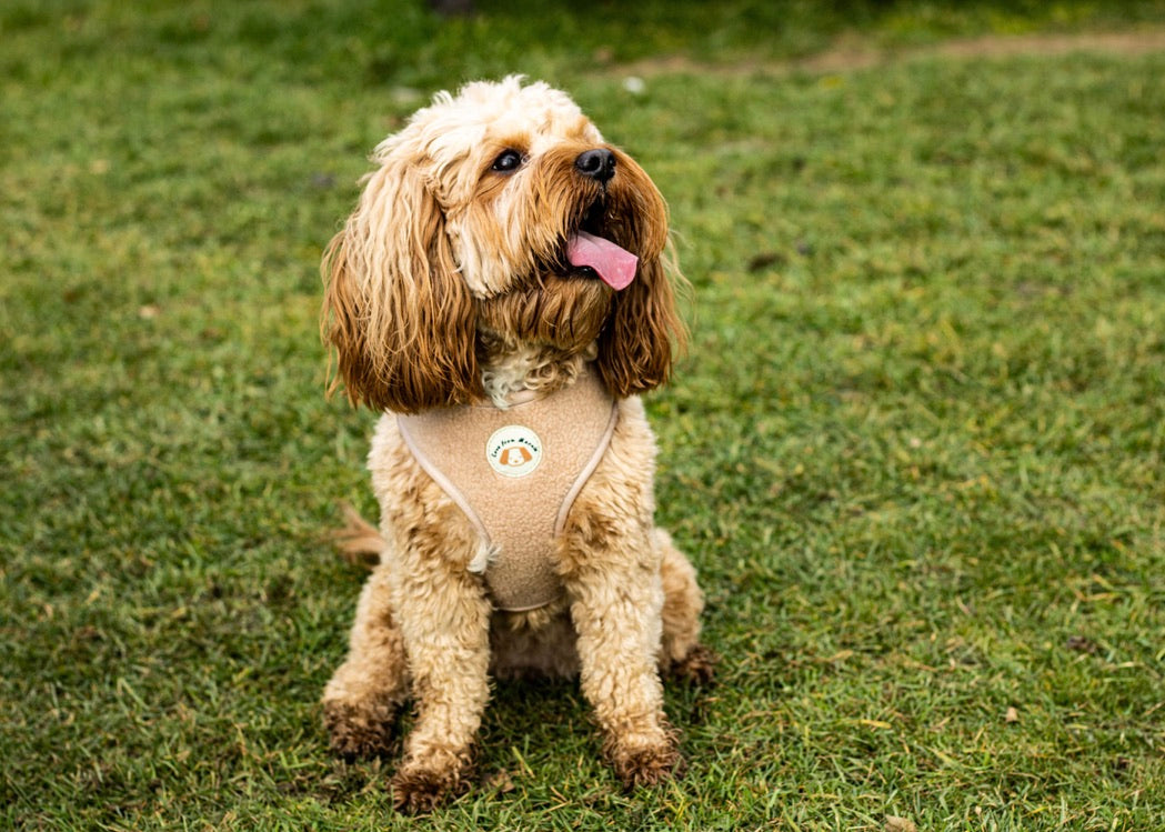 Adjustable Fleece Harness in Latte