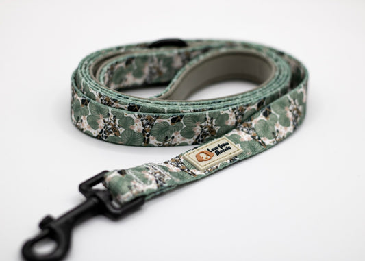 Wild Giraffe Lead