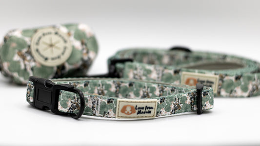 Wild Giraffe Collar