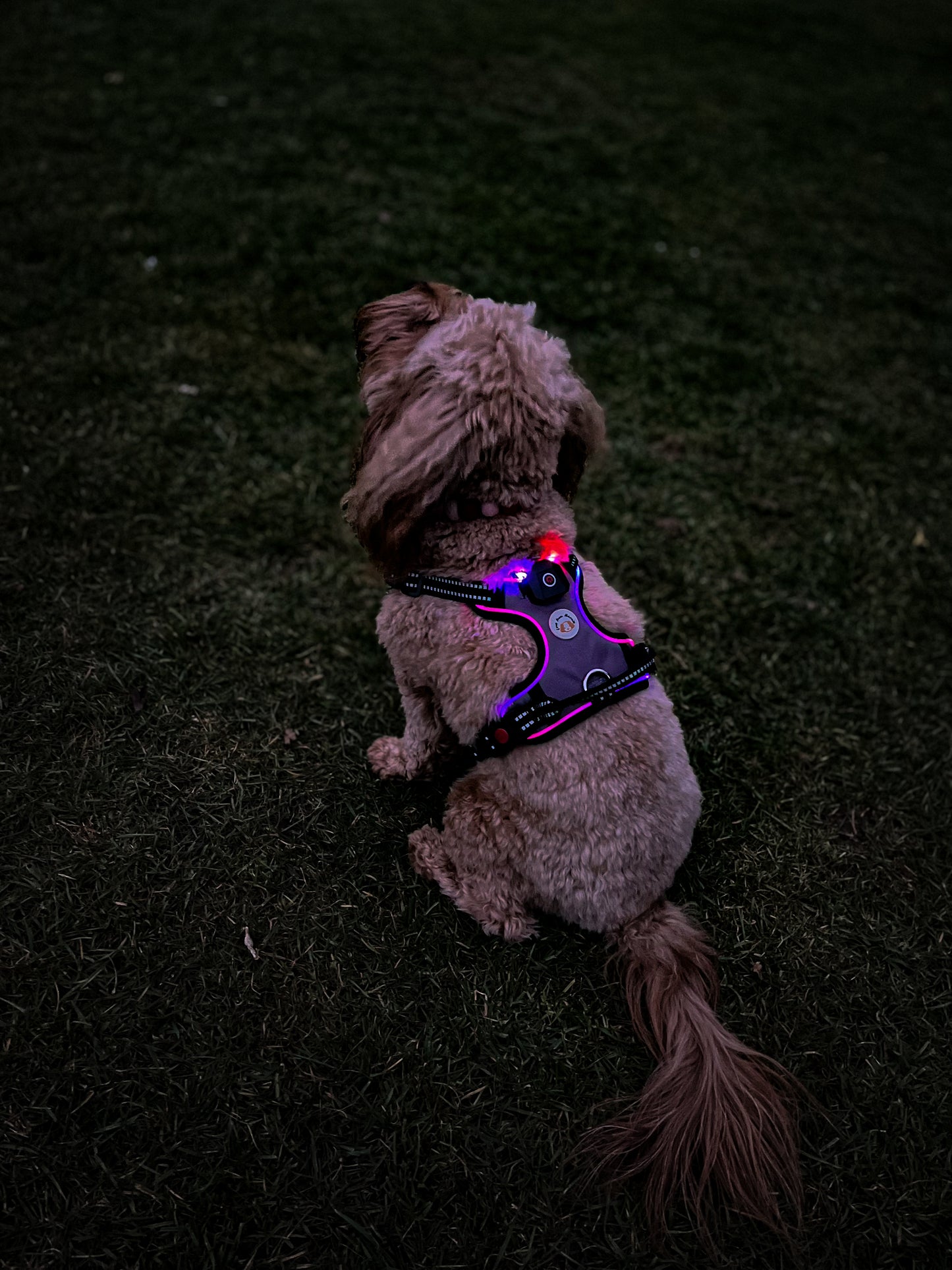 Grey LED Harness