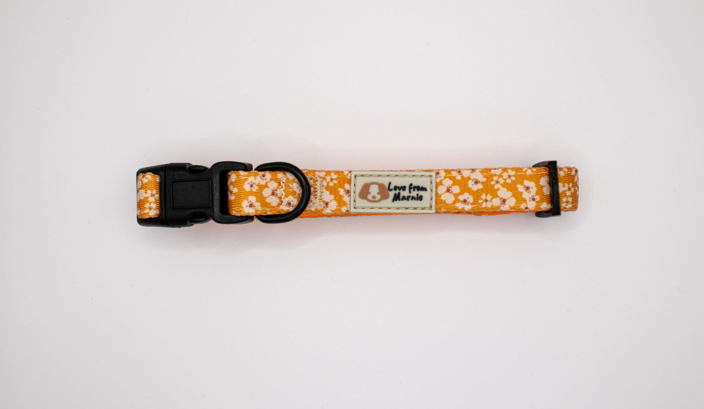 Orange Blossom Collar